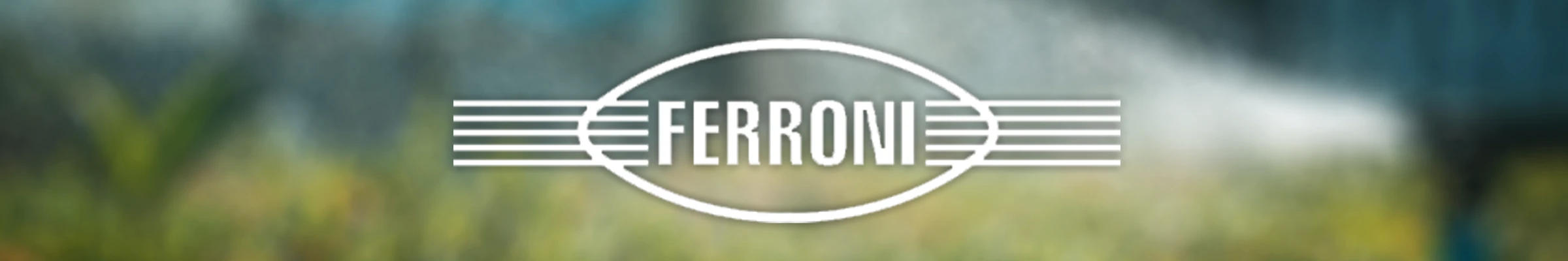 Ferroni banner