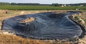 Geomembrane