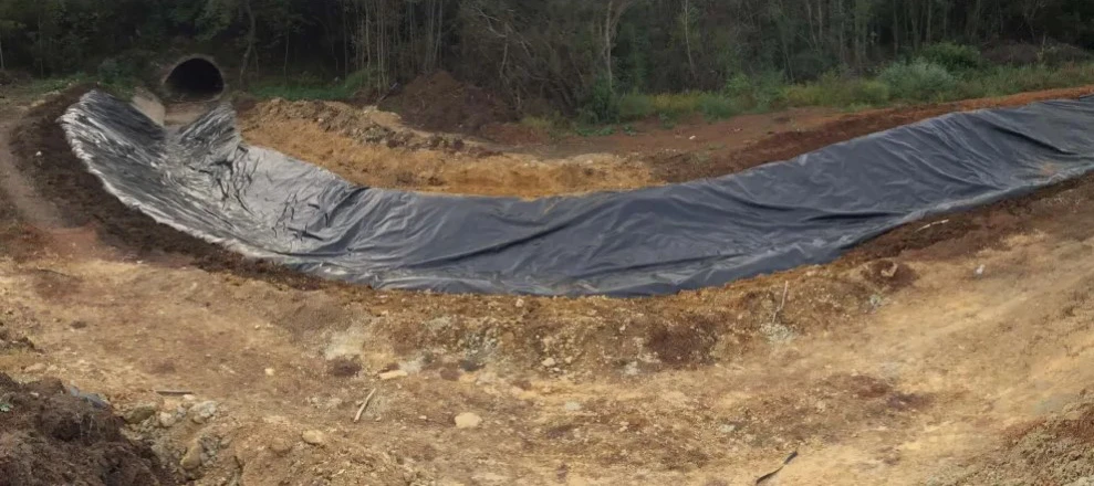 Geomembrane