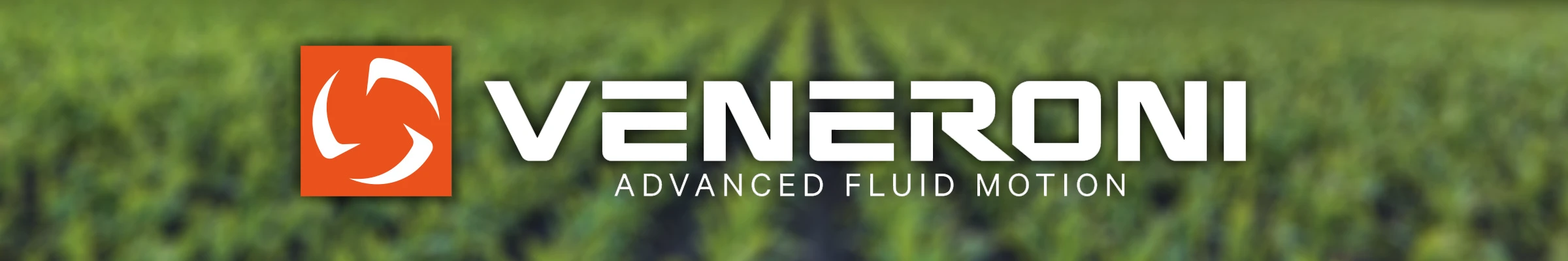 Veneroni banner