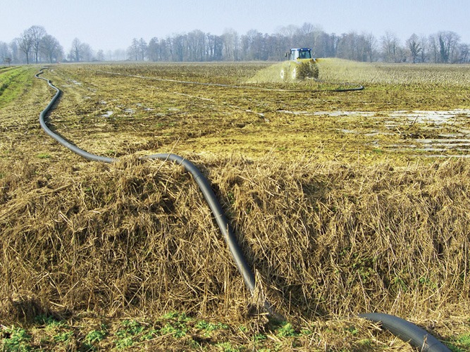 Veneroni Umbilikalni sustav za distribuciju gnojnice.